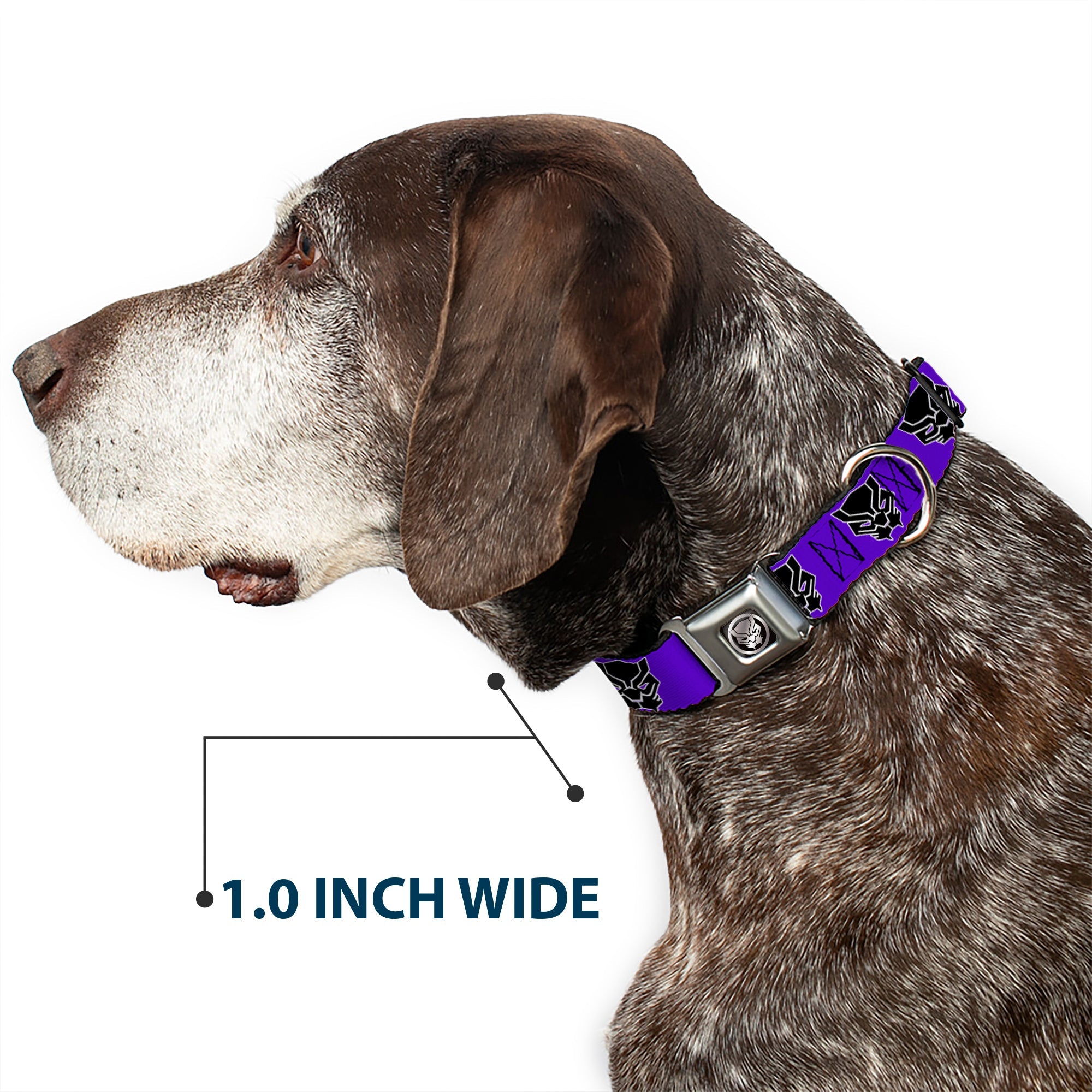Seatbelt Buckle Collar - Black Panther Avengers Icon Purple/White/Black