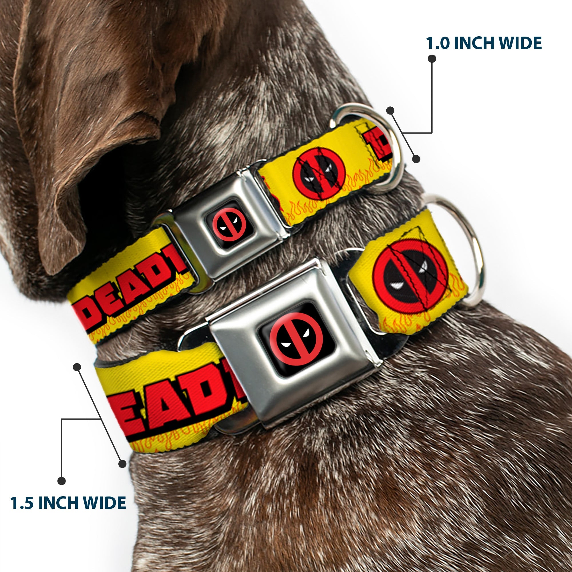 Deadpool Logo CLOSE-UP Full Color Black/Red/White Seatbelt Buckle Collar - DEADPOOL'S CHIMICHANGAS Flames Yellow/Black/Red
