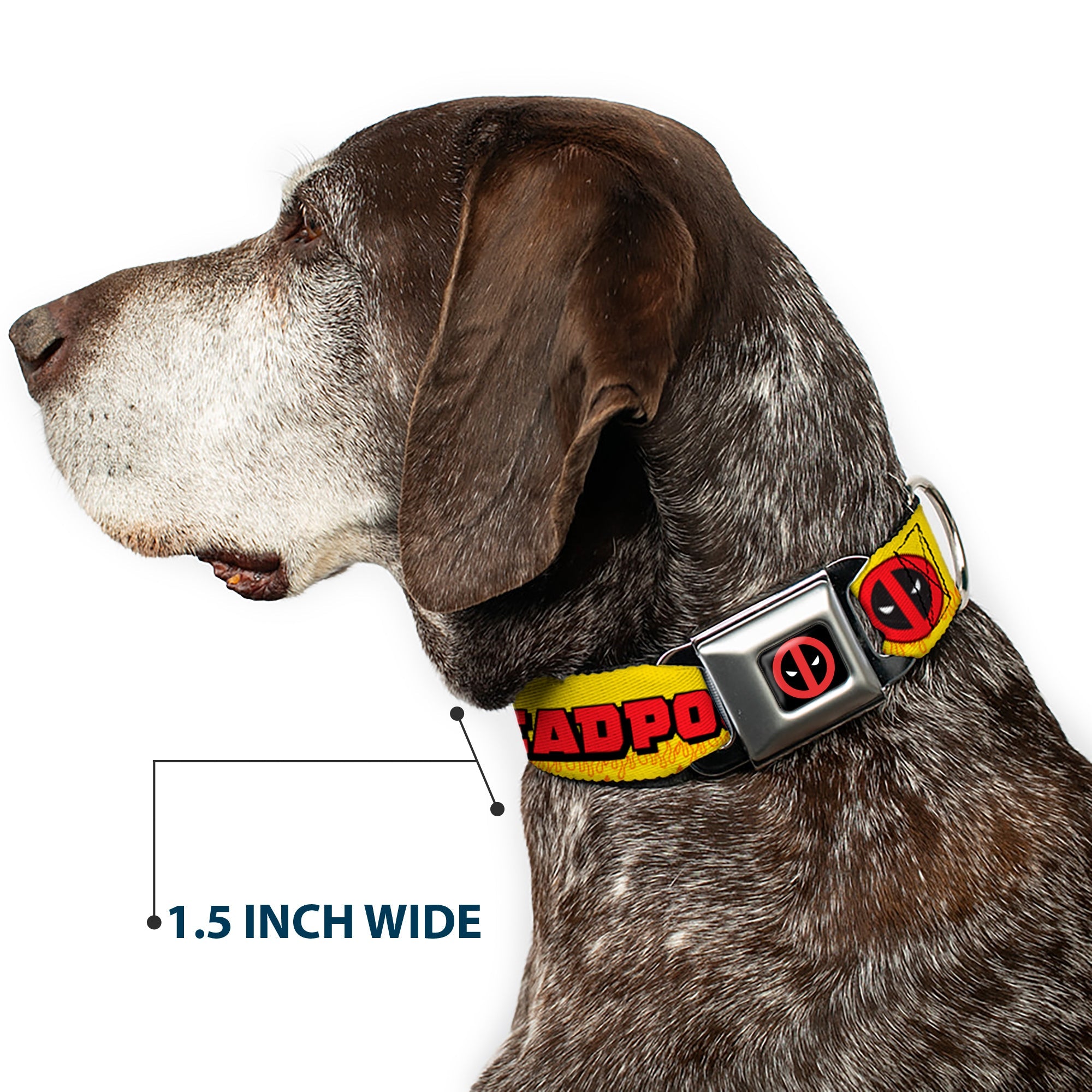 Deadpool Logo CLOSE-UP Full Color Black/Red/White Seatbelt Buckle Collar - DEADPOOL'S CHIMICHANGAS Flames Yellow/Black/Red