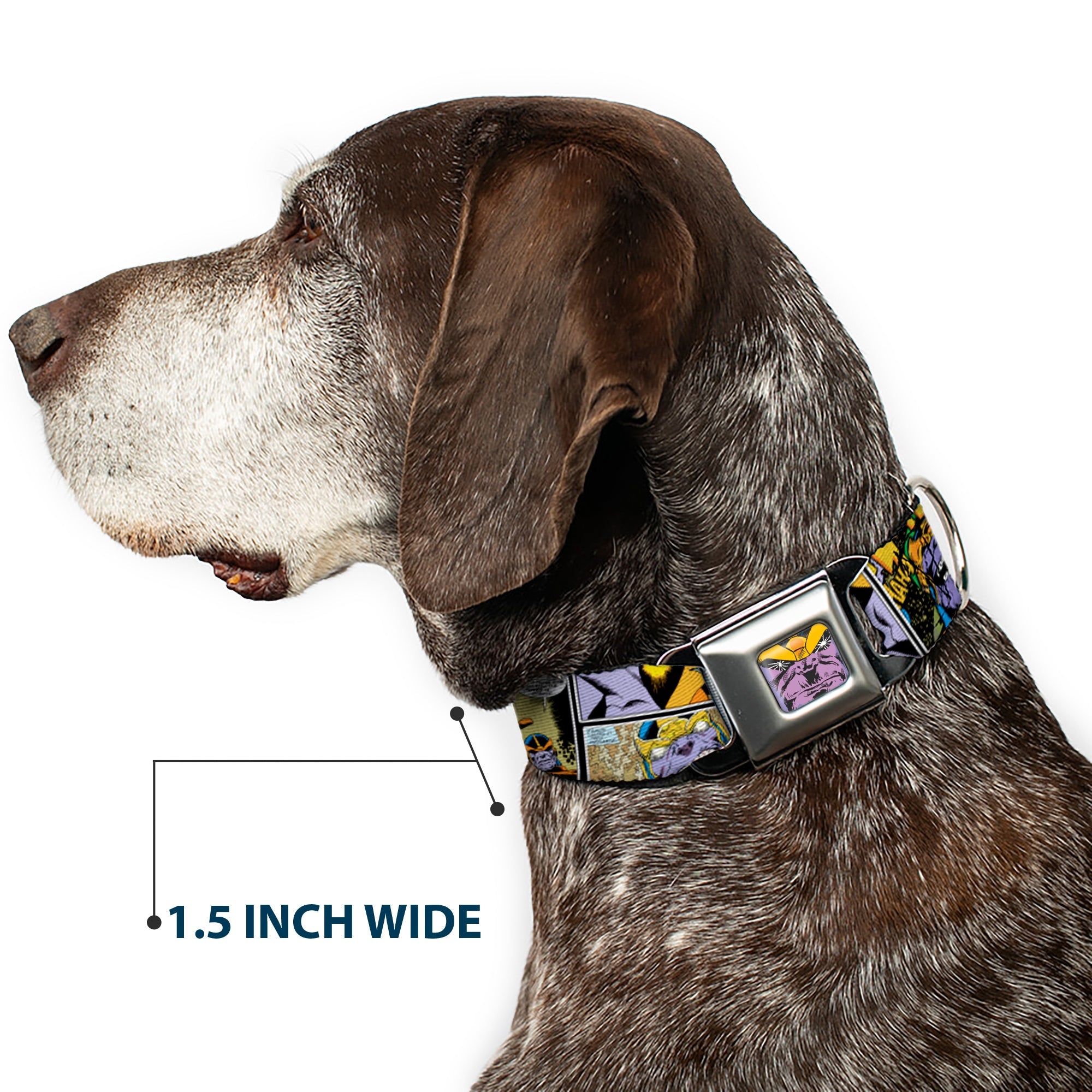 Thanos Face CLOSE-UP Full Color Seatbelt Buckle Collar - Thanos Comic Scene Blocks
