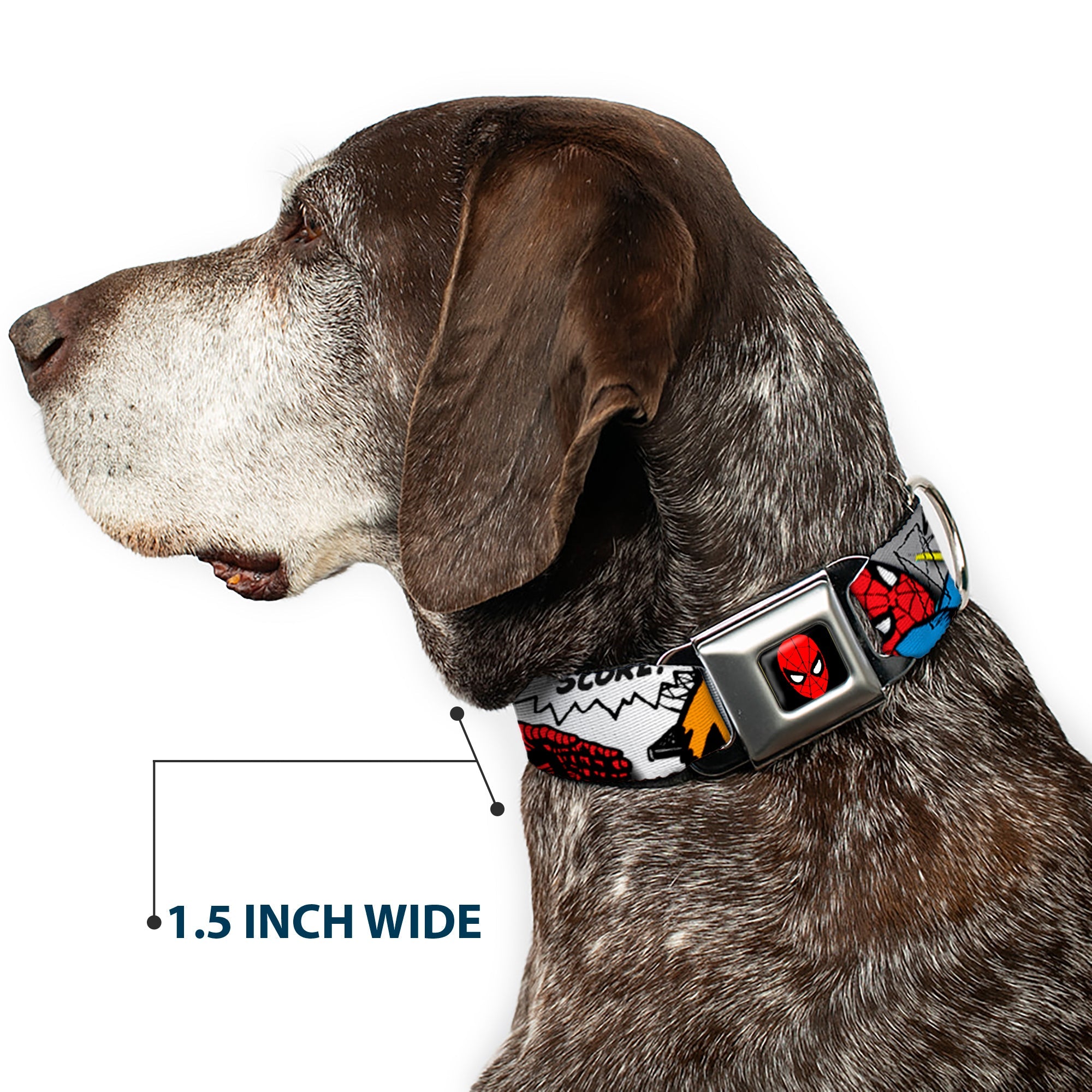 MARVEL UNIVERSE Spider-Man Full Color Seatbelt Buckle Collar - Spider-Man w/Action Verbiage