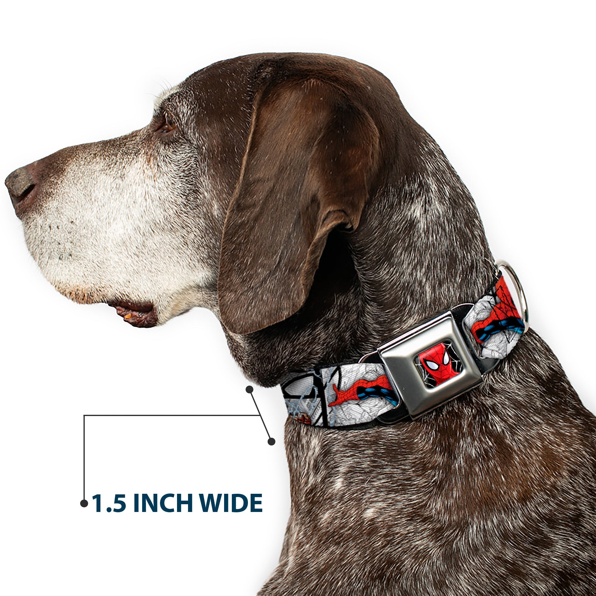 ULTIMATE SPIDER-MAN Ultimate Spider-Man Face Web Full Color Seatbelt Buckle Collar - SPIDER-MAN Action Poses/Comic Scenes White/Black/Red