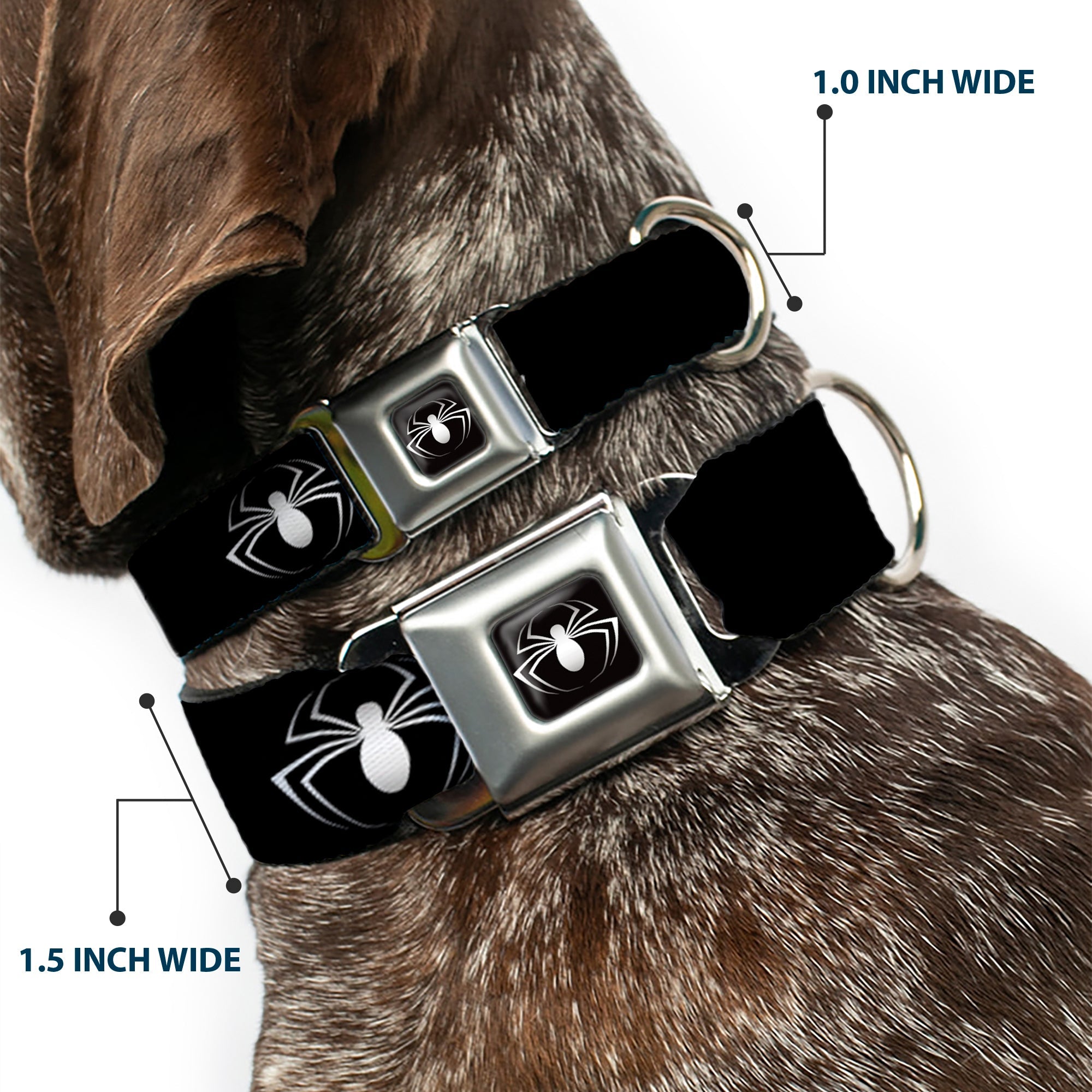 MARVEL UNIVERSE Spider Logo3 Full Color Black White Seatbelt Buckle Collar - Spider Logo3 Black/White