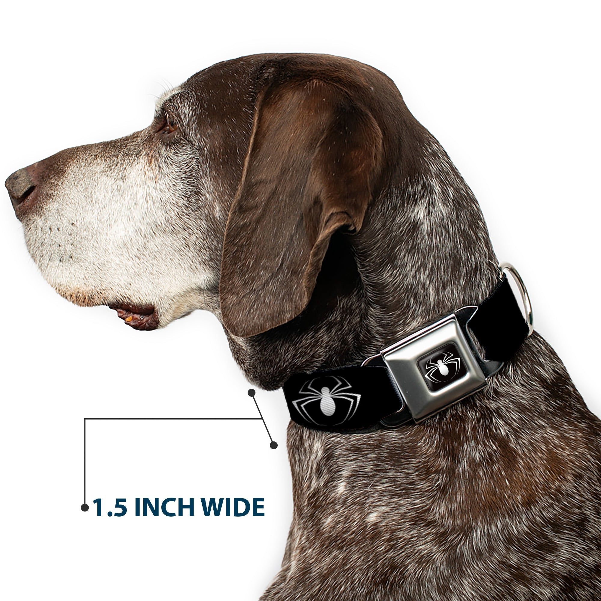 MARVEL UNIVERSE Spider Logo3 Full Color Black White Seatbelt Buckle Collar - Spider Logo3 Black/White