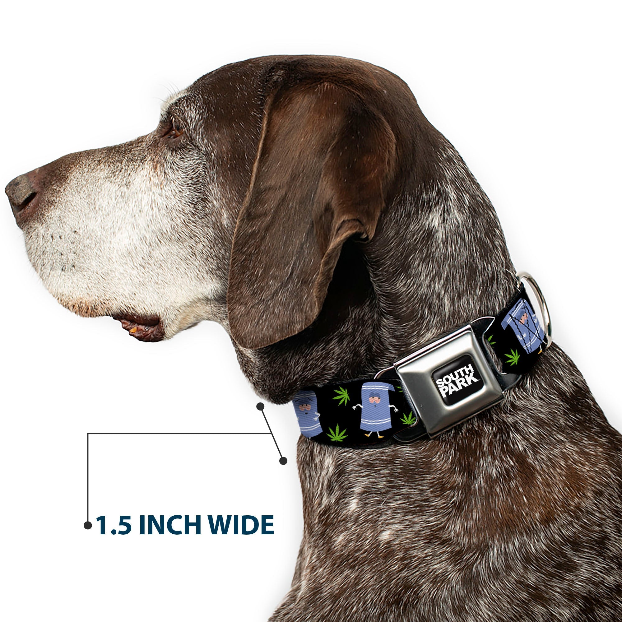 SOUTH PARK Title Logo Full Color Black/White Seatbelt Buckle Collar - South Park Towlie and Scattered Pot Leaves Black