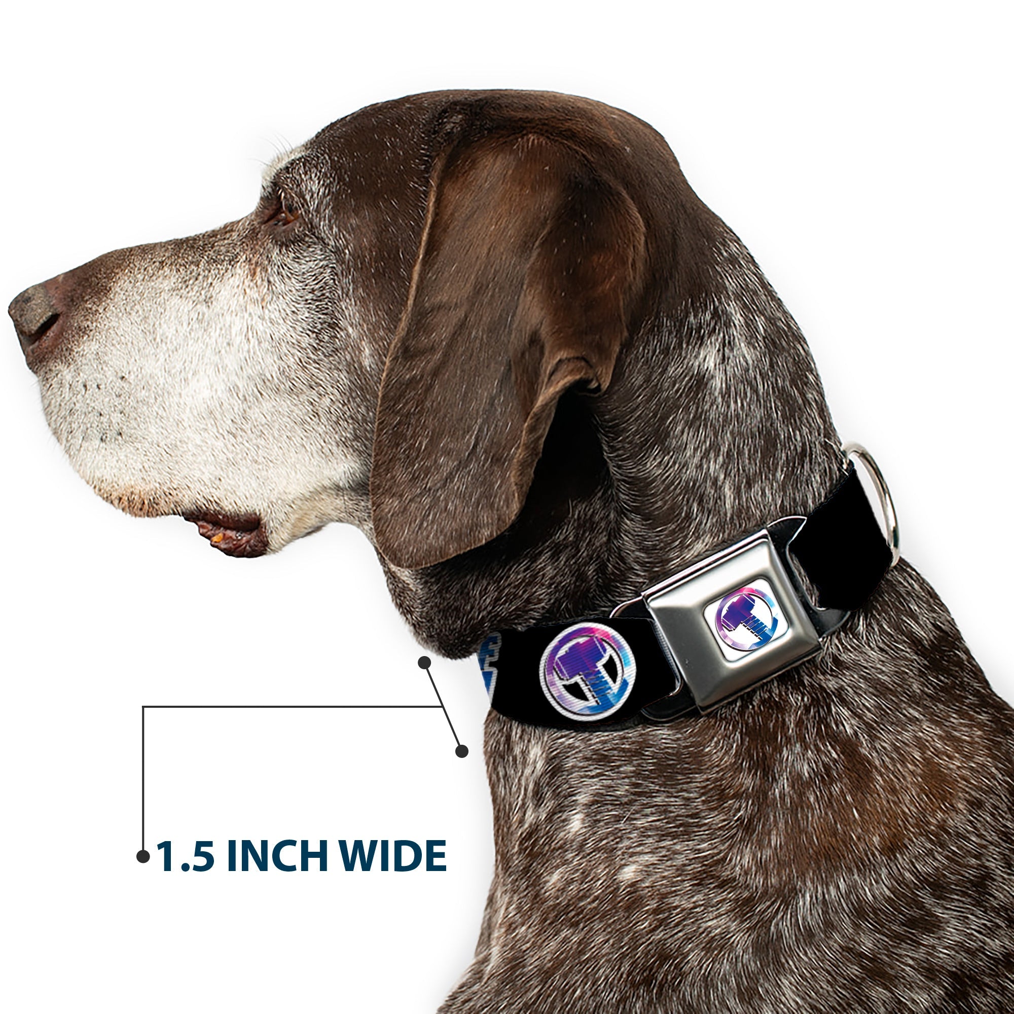 Thor Hamer Icon Full Color White/Blues Seatbelt Buckle Collar - Thor SON OF ODIN/Hamner Icon Black/White/Blues