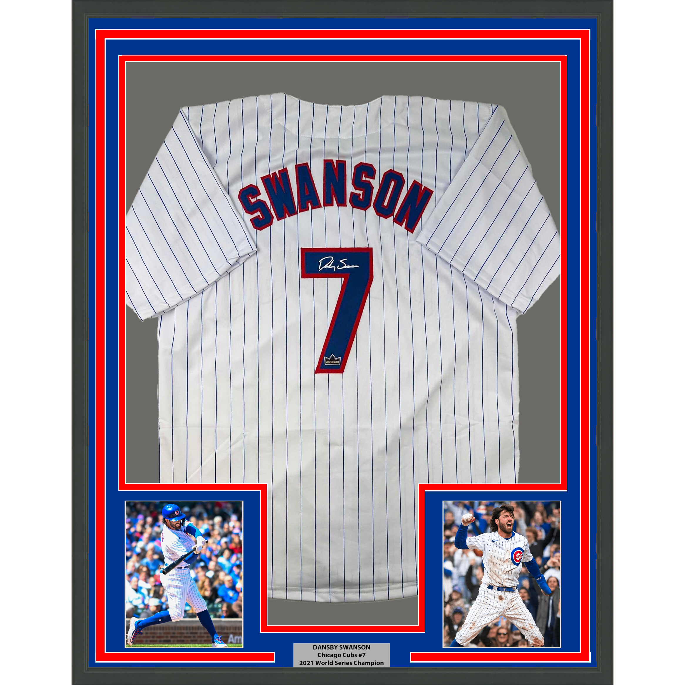 Framed Facsimile Autographed Dansby Swanson 35x39 Chicago Pinstripe Reprint Laser Auto Baseball Jersey
