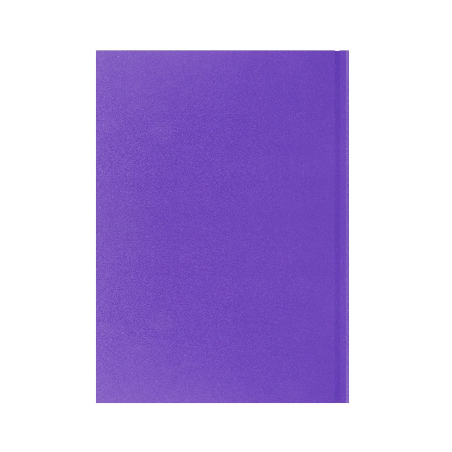 Essential - A4 Day-to-Page Diary - 2026 Calendar Year Planner