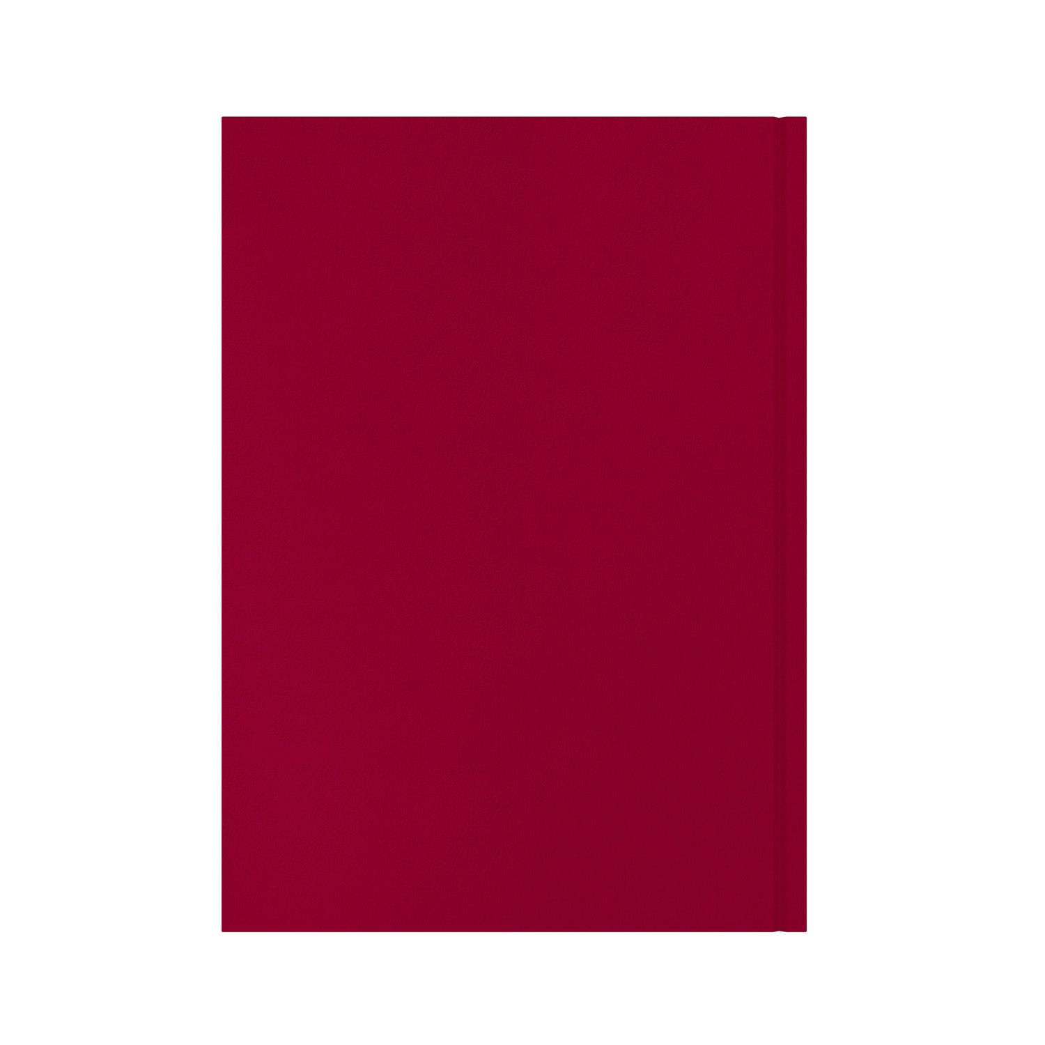 Essential - A4 Day-to-Page Diary with Appointments - 2026 Calendar Year Planner