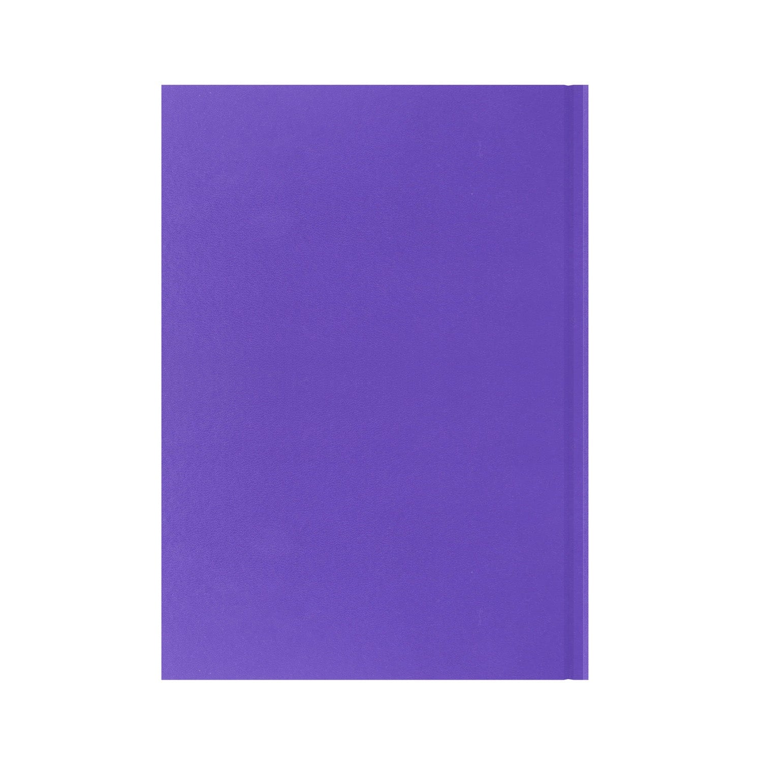 Essentials - A4 Day-to-Page with Appointments Mid/Academic Year Diary Planner 2025-2026