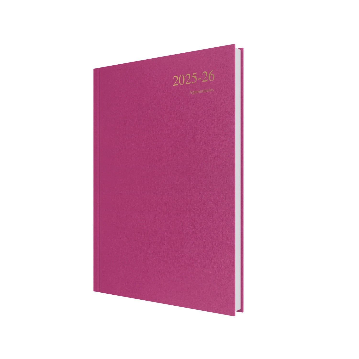 Essentials - A4 Day-to-Page with Appointments Mid/Academic Year Diary Planner 2025-2026