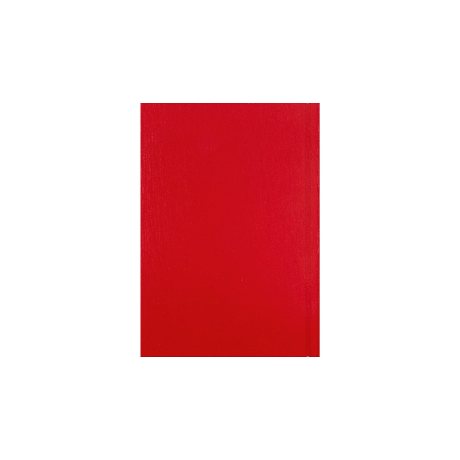 Essentials - A5 Week-to-View with Appointments Mid/Academic Year Diary Planner 2025-2026