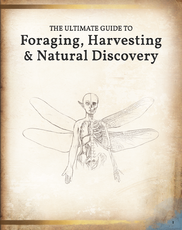 Foraging, Harvesting & Natural Discovery Hardcover (5E)