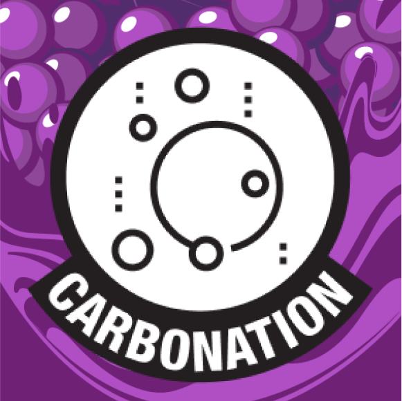 Grape Blast Flavor Extra Strength 5-hour ENERGY Drink 12-pack