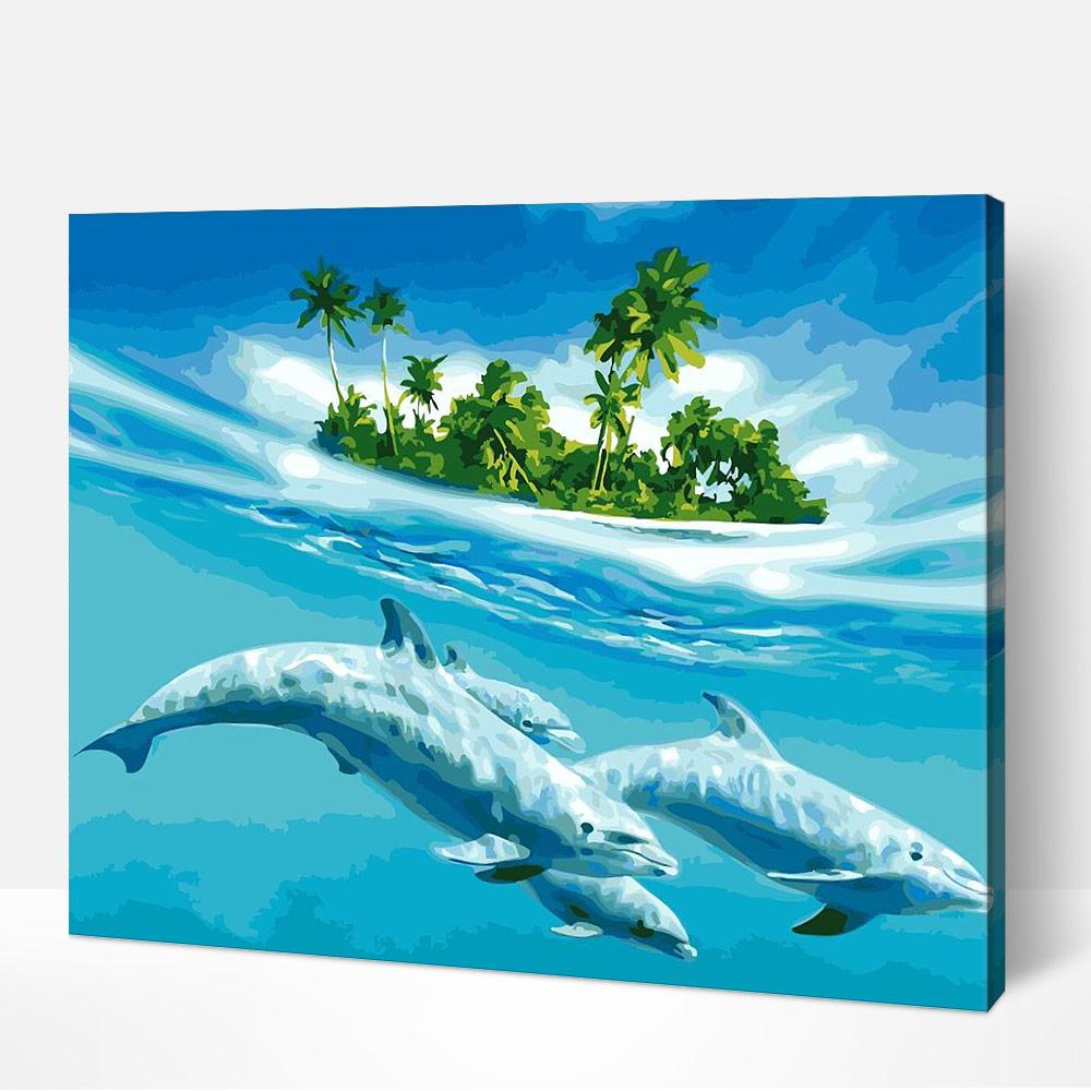 Dolphins Paradise