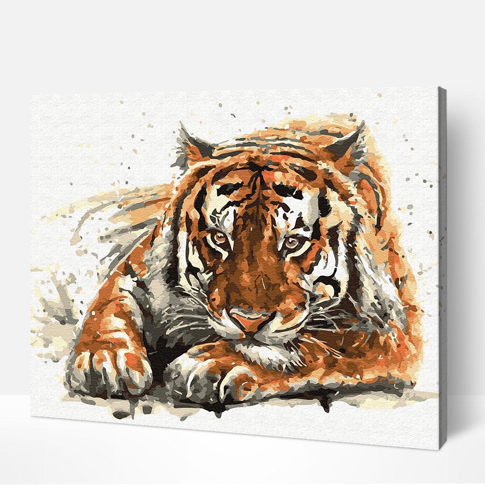 Amur Tiger