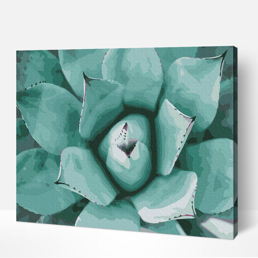 Succulent