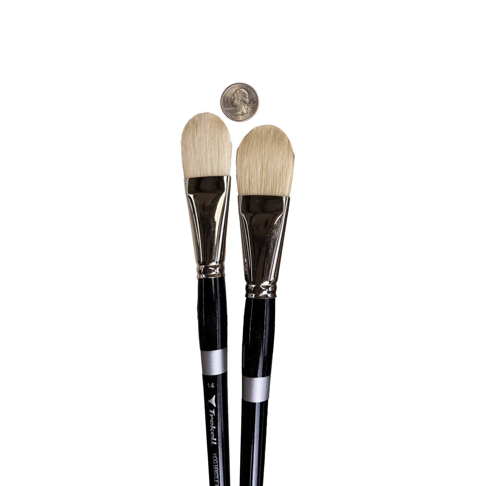 Trekell Hog Bristle #16 Filbert - Big Brush