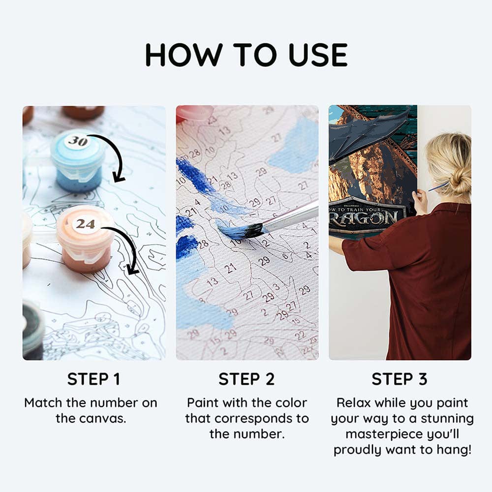How to Train Your Dragon - Paint By Numbers Kit