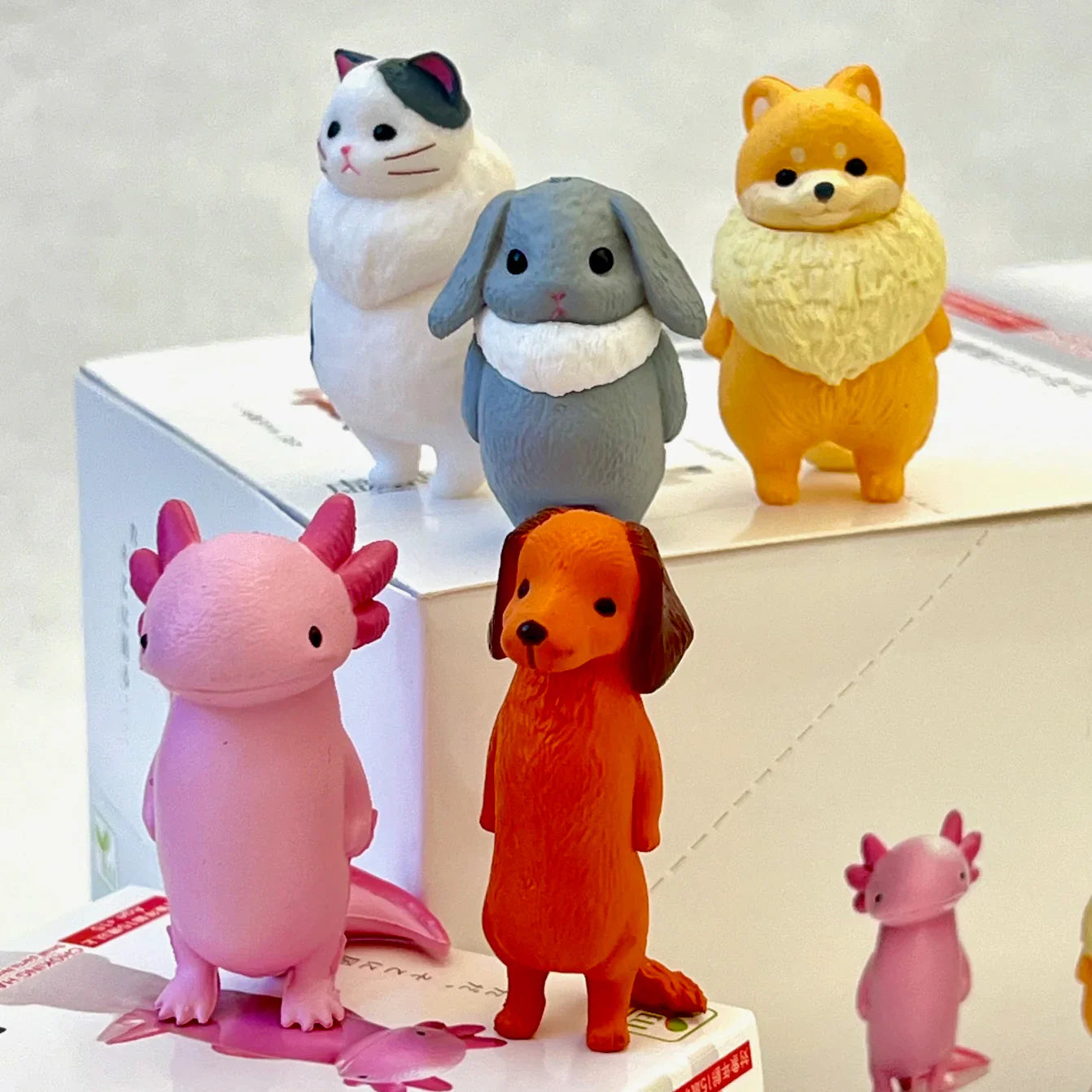 Kyomu Void Animals Blind Box (1 Blind Box)