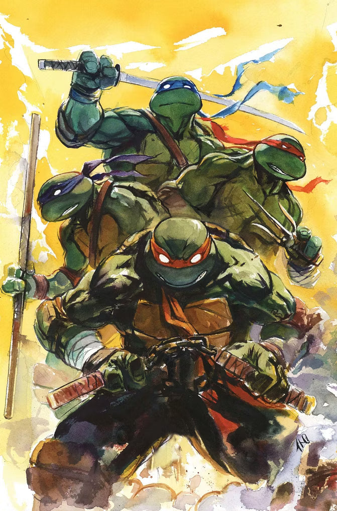 TMNT 300th Issue Blind Bags