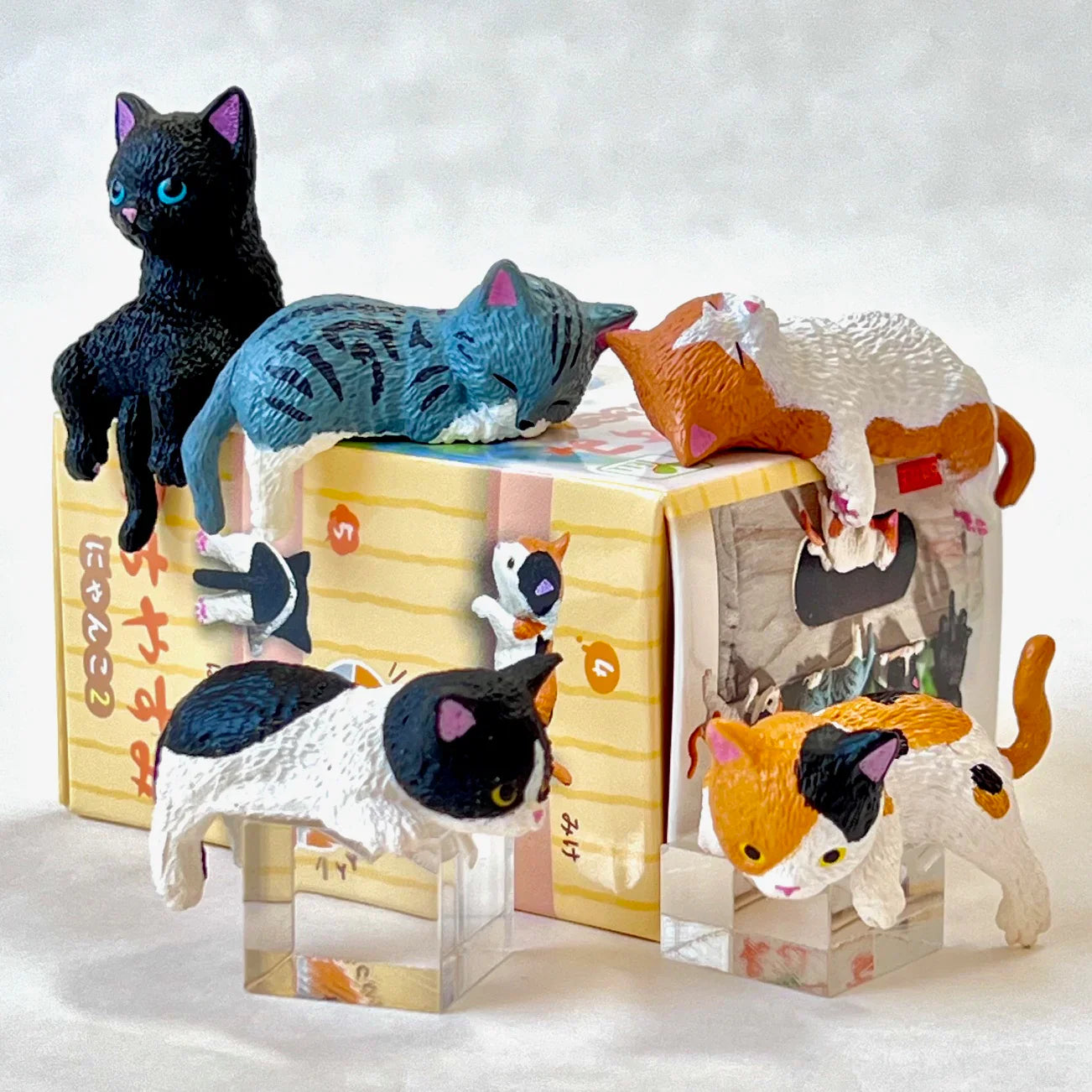 Resting Cats Blind Box (1 Blind Box)