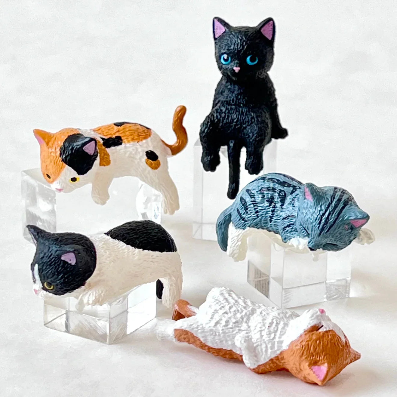 Resting Cats Blind Box (1 Blind Box)