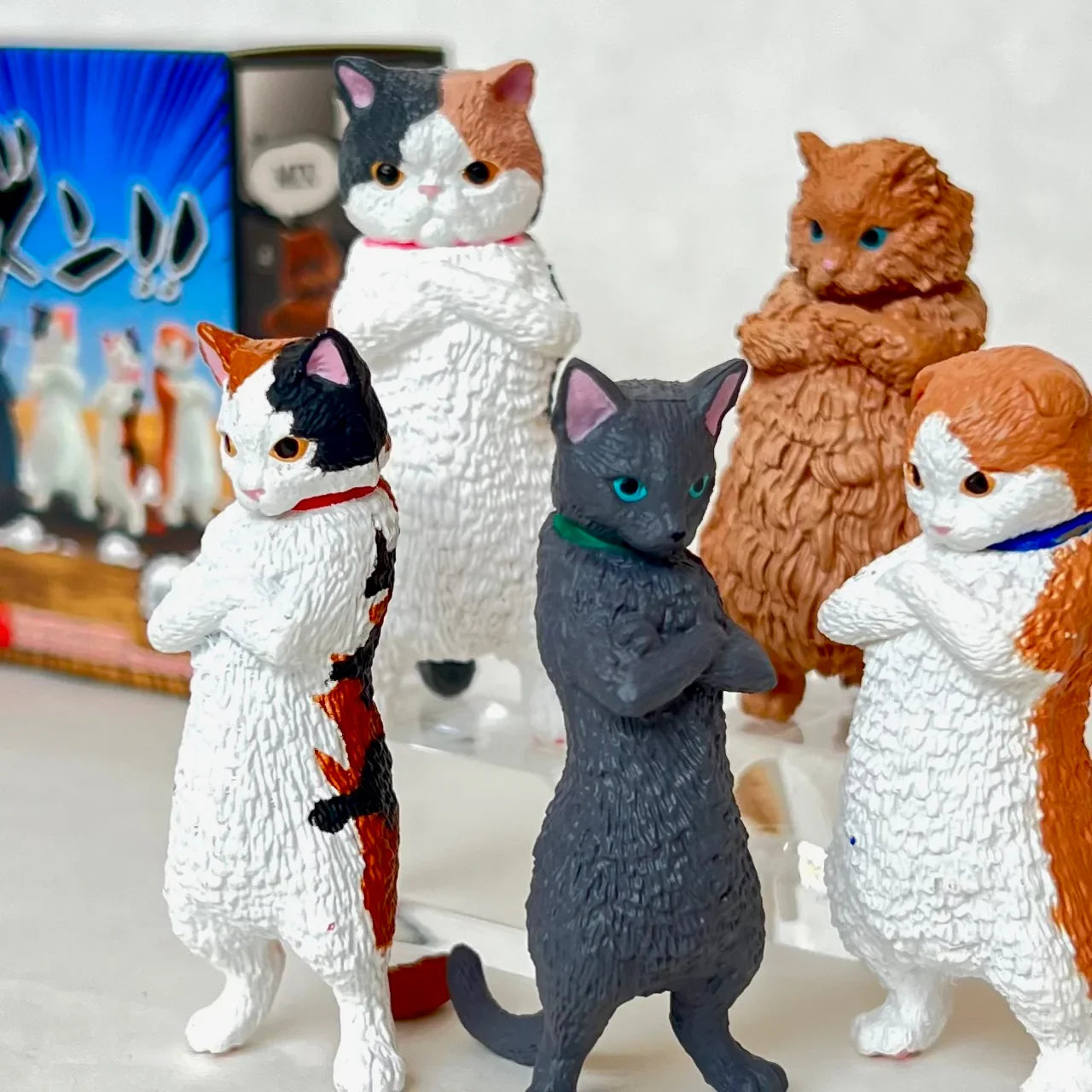 ZUN!! ATTITUDE CAT FIGURINE BLIND BOX (1 Blind Box)