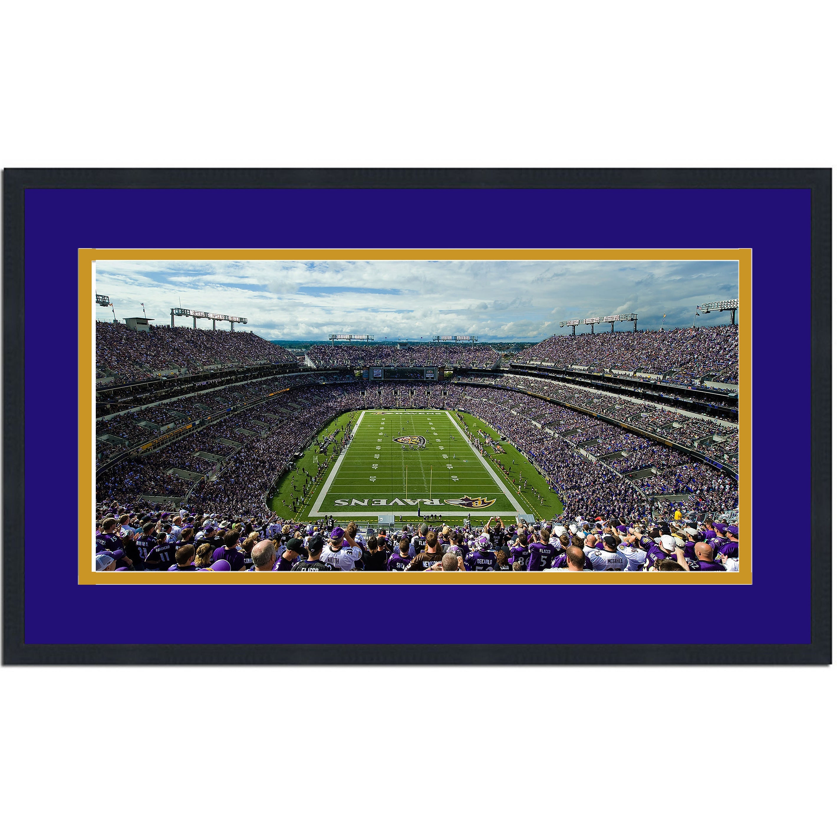 Framed MT&T Bank Stadium Baltimore Ravens 16x24 Football Photo Professionally Matted