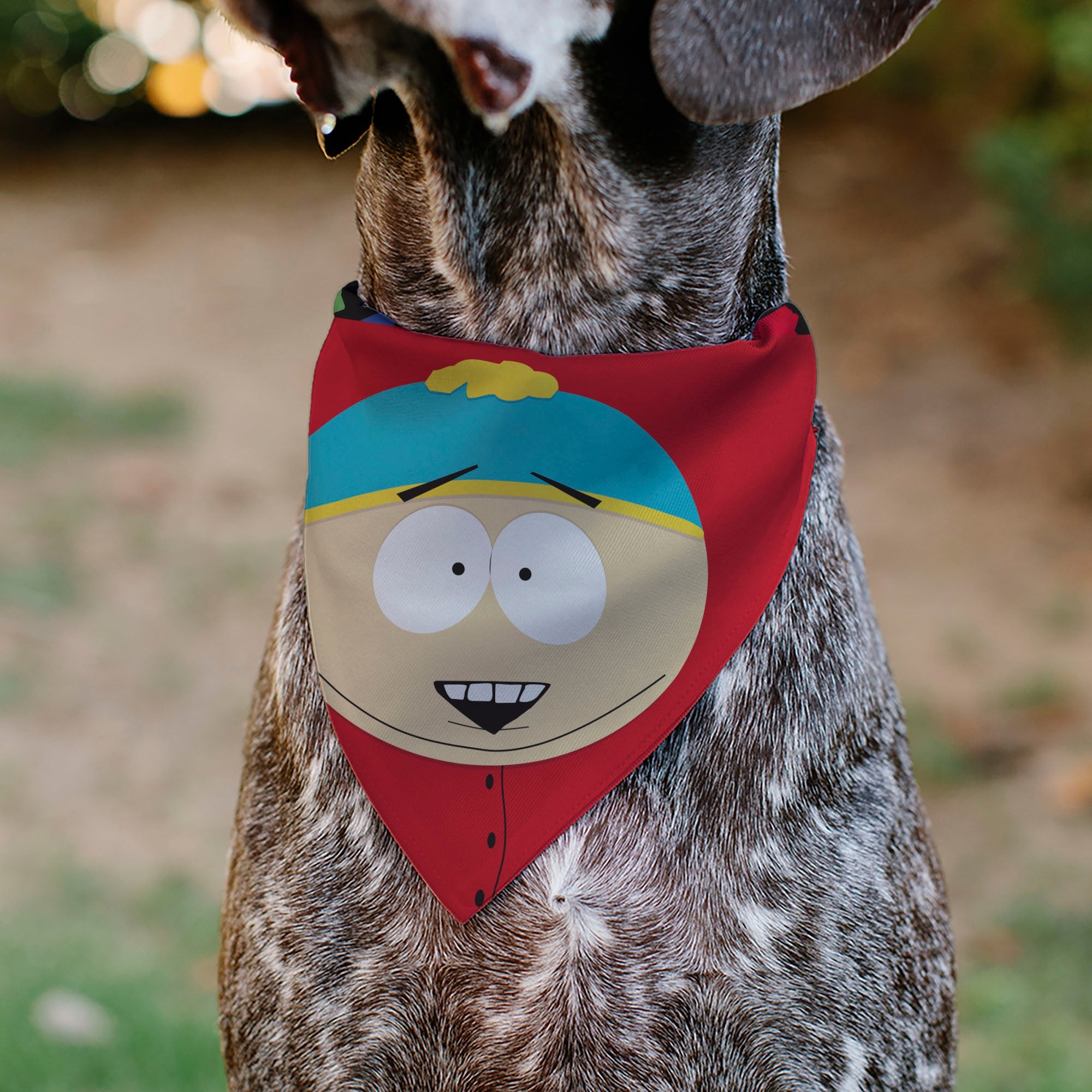Pet Bandana - South Park Eric Cartman Face Close-Up Red