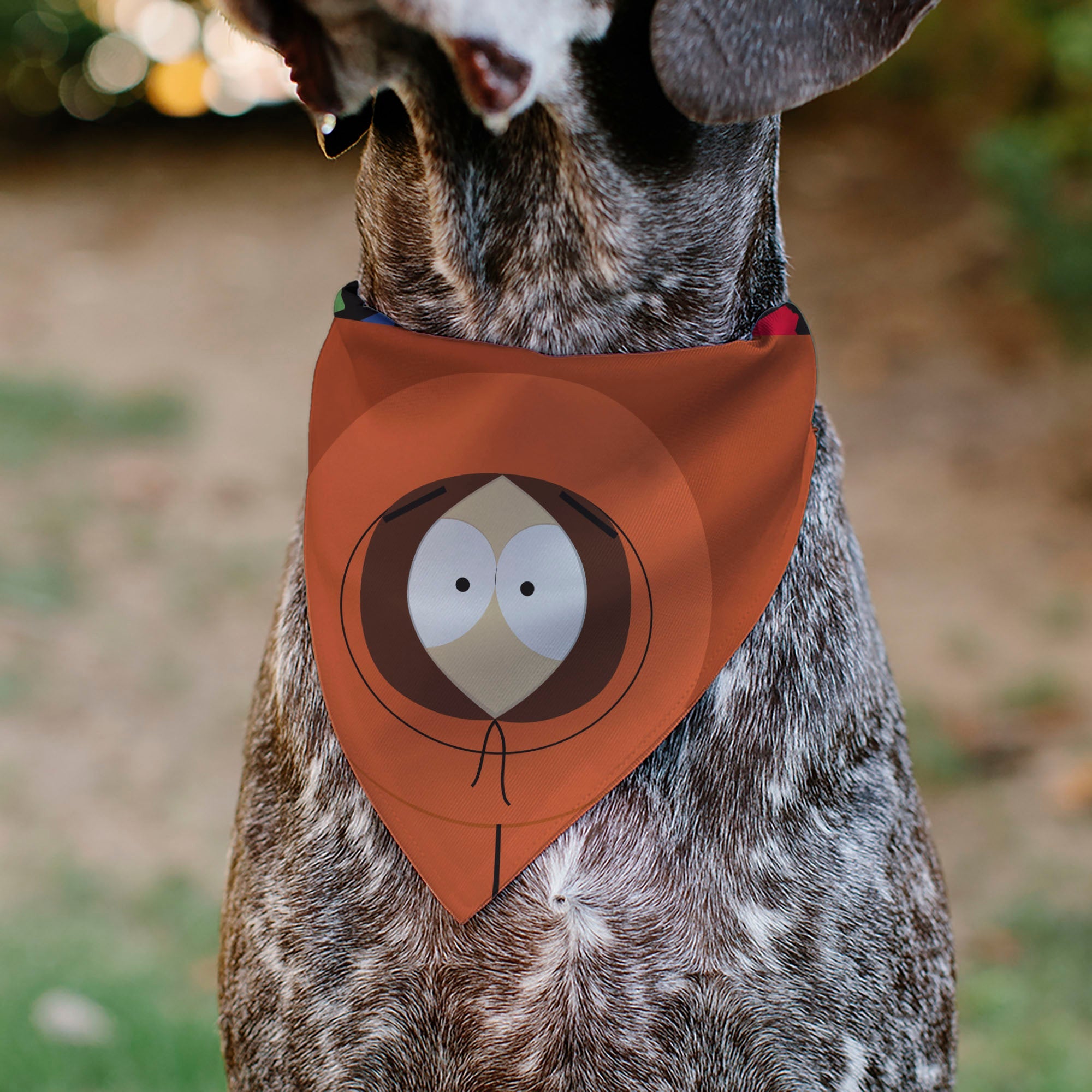 Pet Bandana - South Park Kenny McCormick Face Close-Up Orange