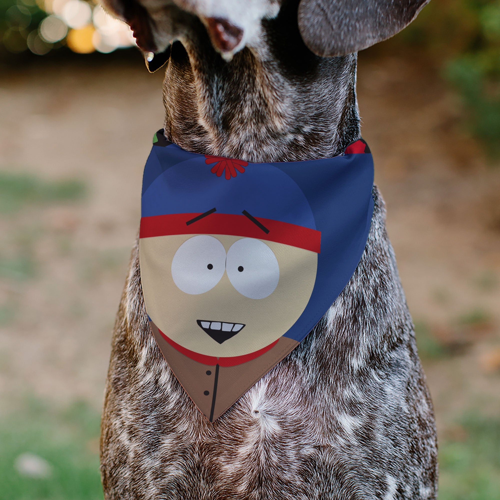 Pet Bandana - South Park Stan Marsh Face Close-Up Blue