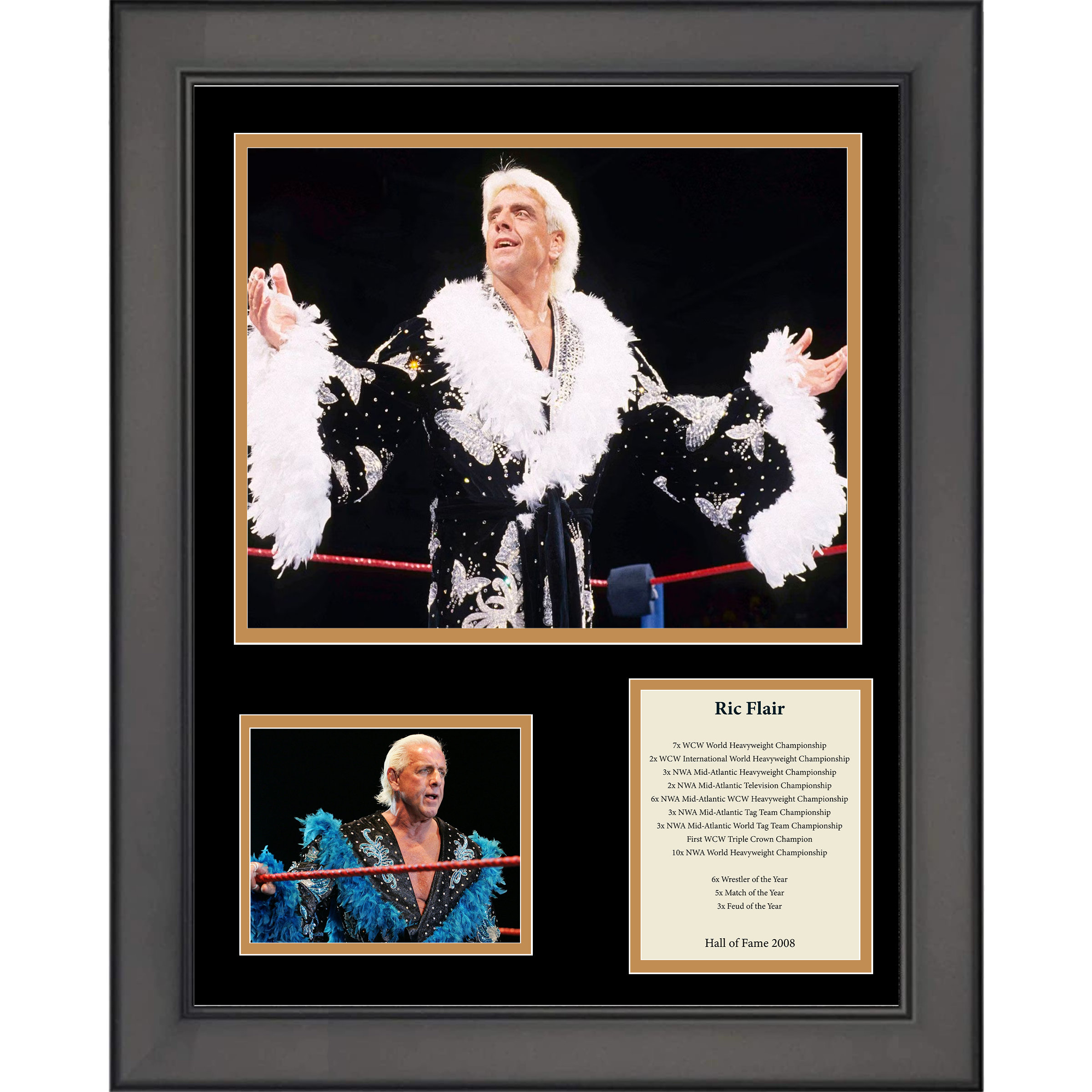 Framed Ric Flair Hall of Fame WWE 11"x14"Wrestling Three Photo Collage