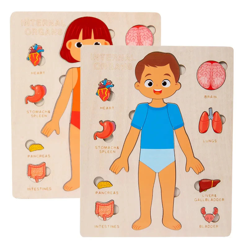 Kids Wooden Montessori Human Body Puzzle – Educational Anatomy Toy for Learning