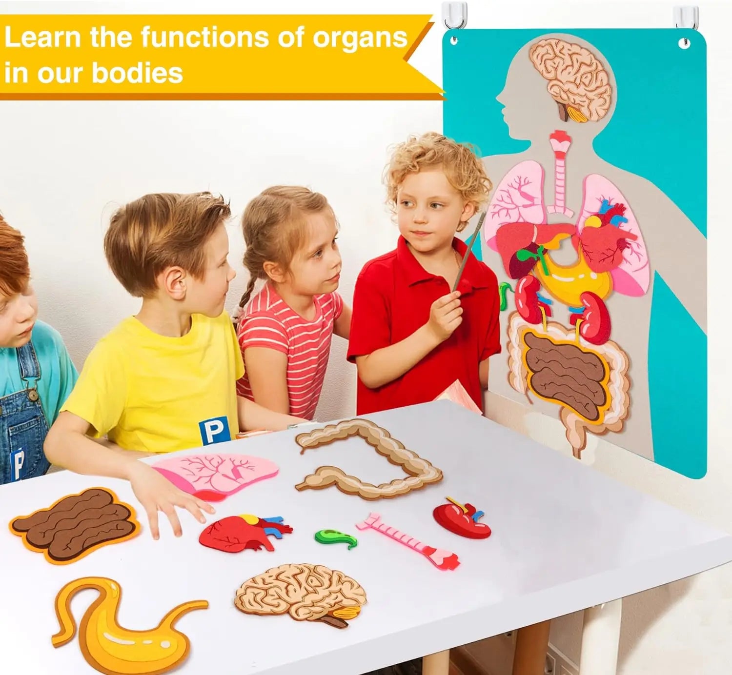 Human Body Parts Quiet Book – Educational Anatomy Felt Board for Toddlers