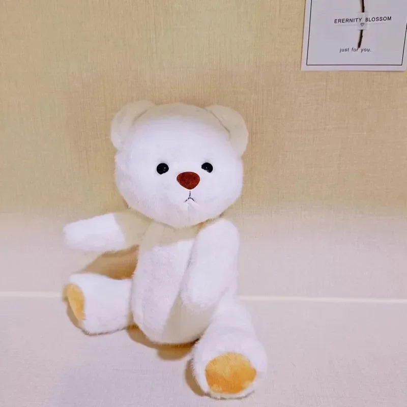 Teddy Bear Plush Doll with Changeable Clothes