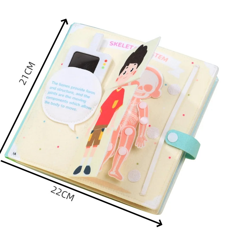 Human Body Parts Quiet Book – Educational Anatomy Felt Board for Toddlers