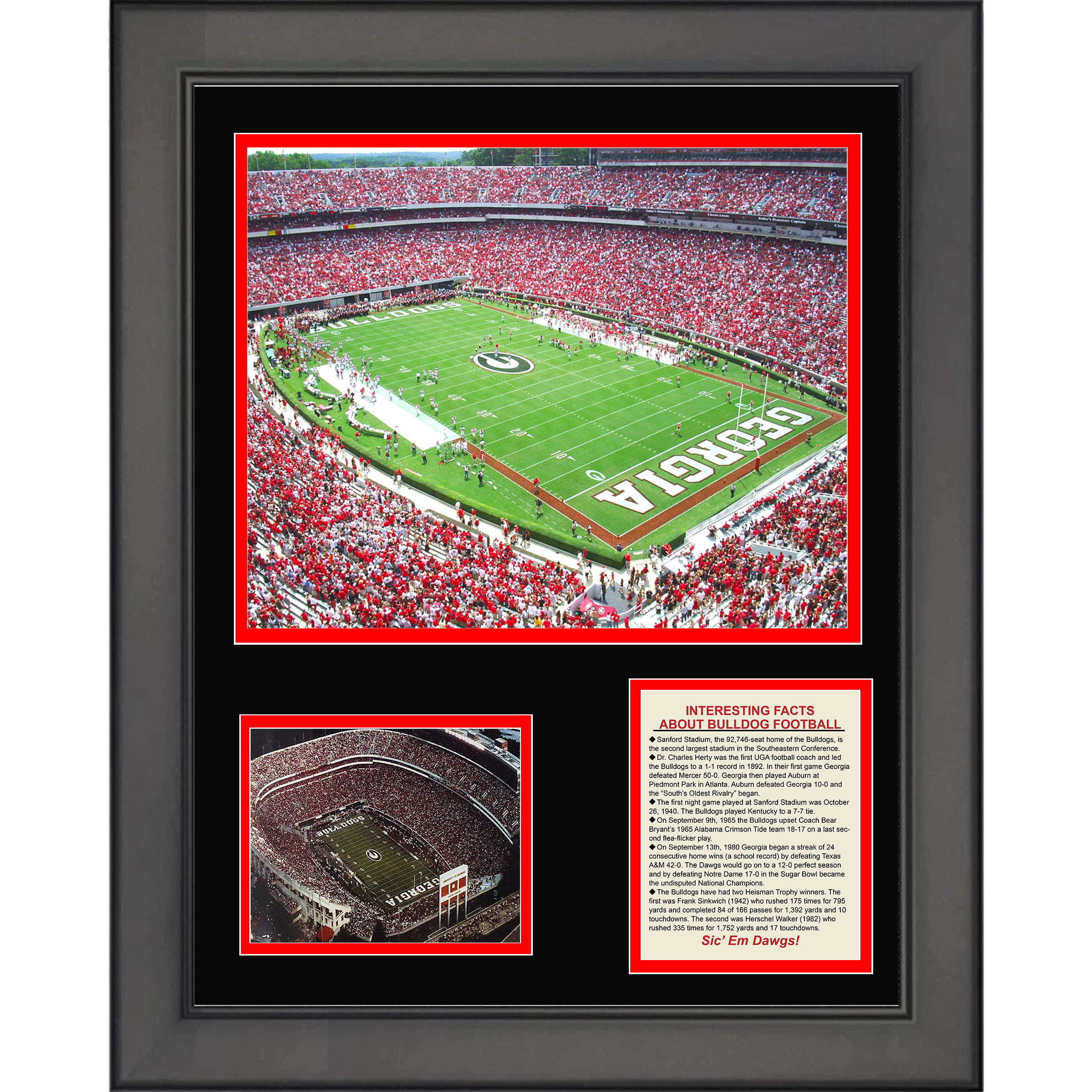 Framed Sanford Stadium Georgia Bulldogs College Football 11"x14"Three Photo Collage