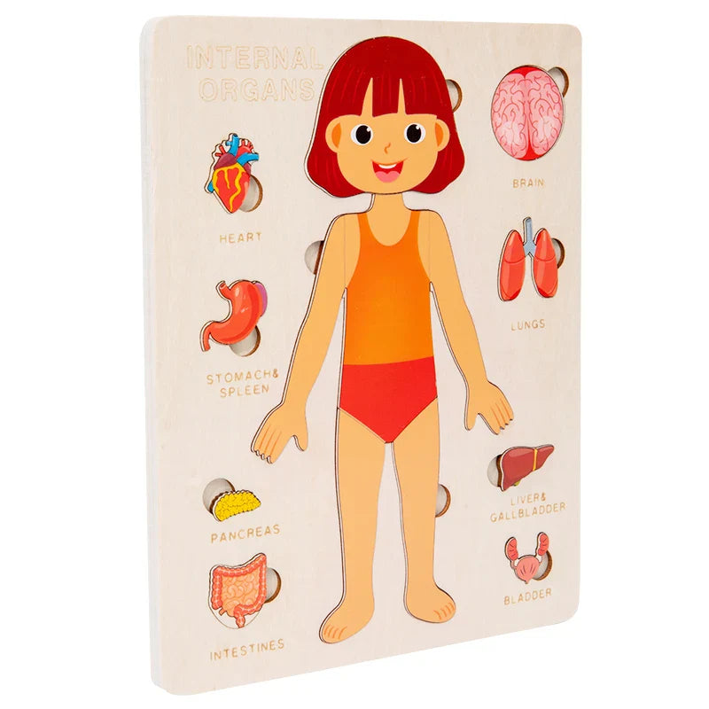 Kids Wooden Montessori Human Body Puzzle – Educational Anatomy Toy for Learning