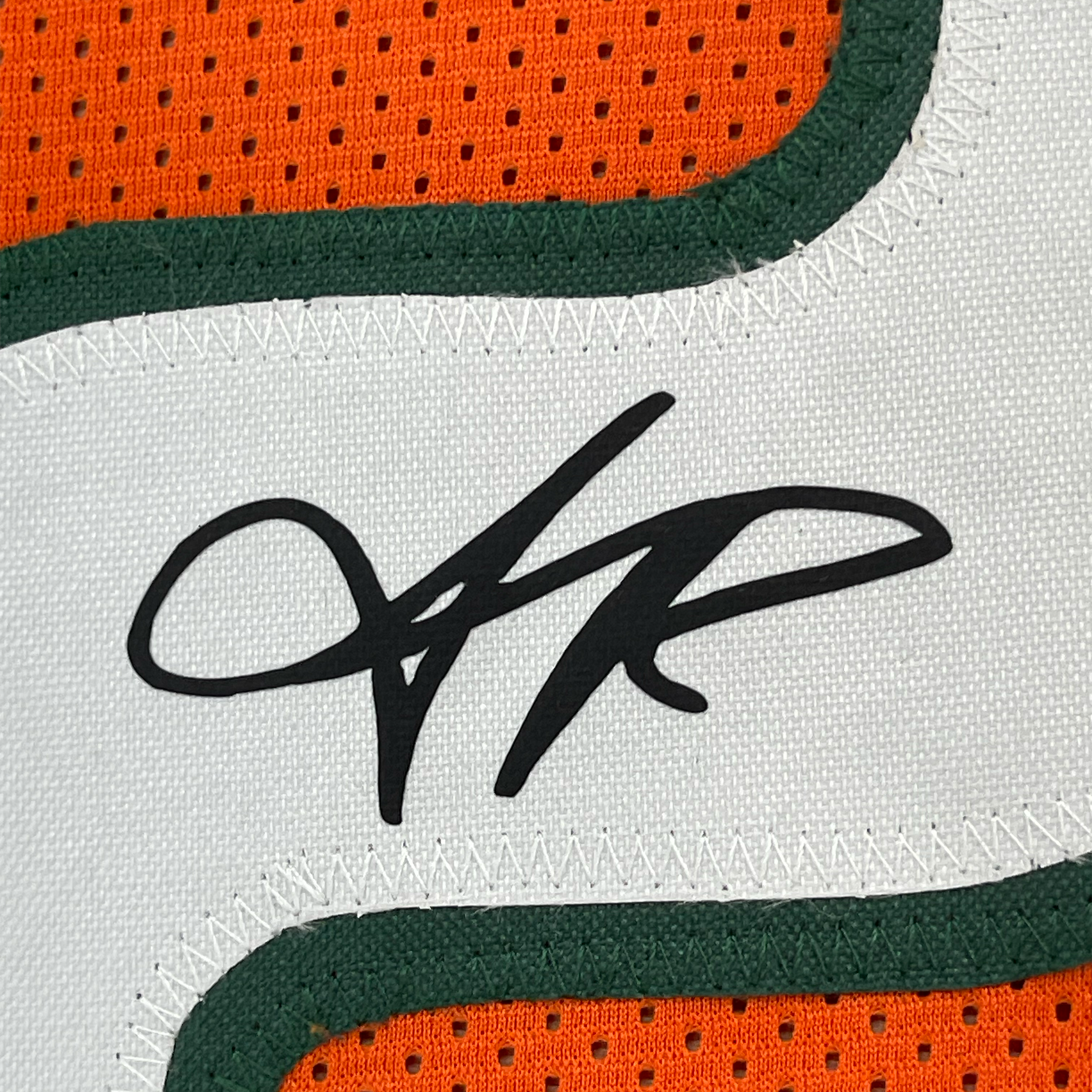 Framed Facsimile Autographed Sean Taylor 35x39 Miami Orange Reprint Laser Auto College Football Jersey
