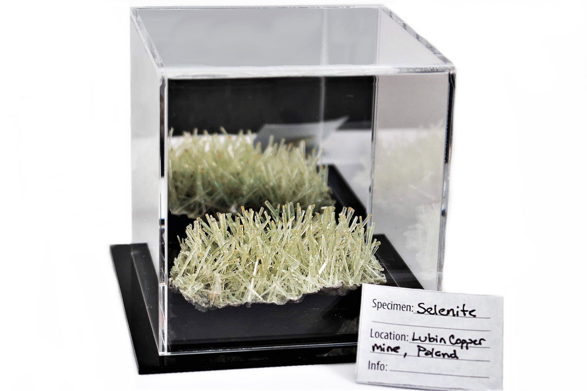 Versatile Acrylic Display Cases with Double Sheet Base with Mirror Case