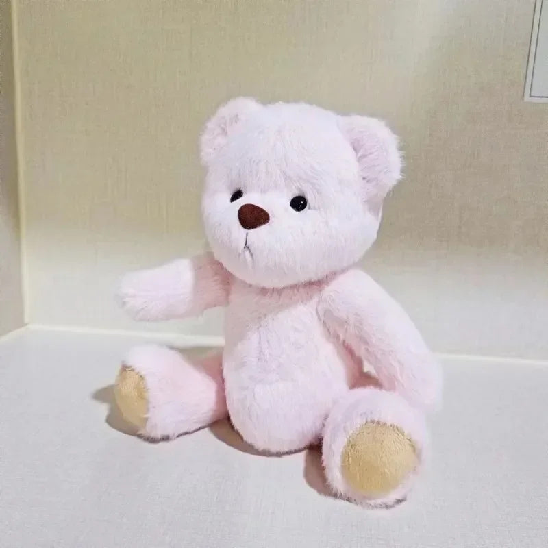 Teddy Bear Plush Doll with Changeable Clothes