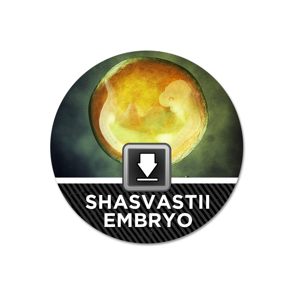 Infinity N4 Acrylic Markers