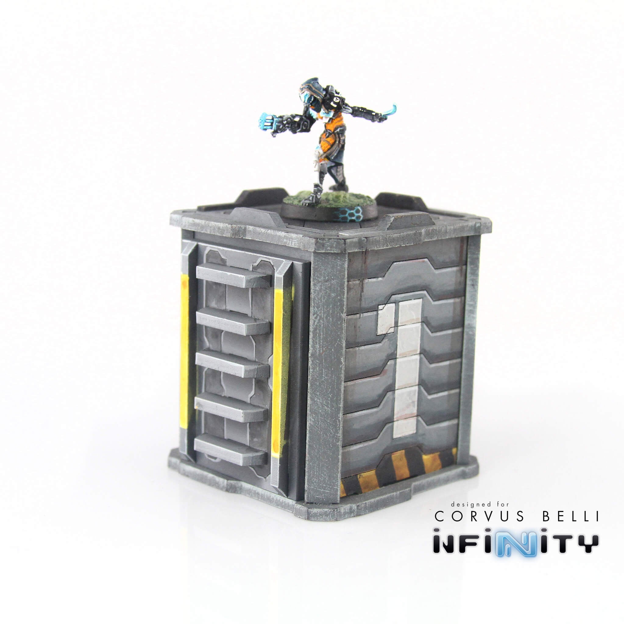 Shipping Container Ladder