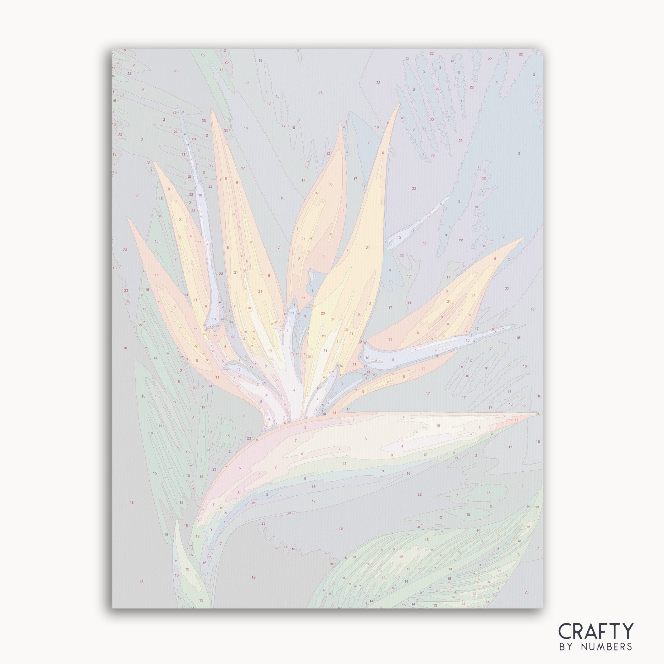 Flower Bird of Paradise