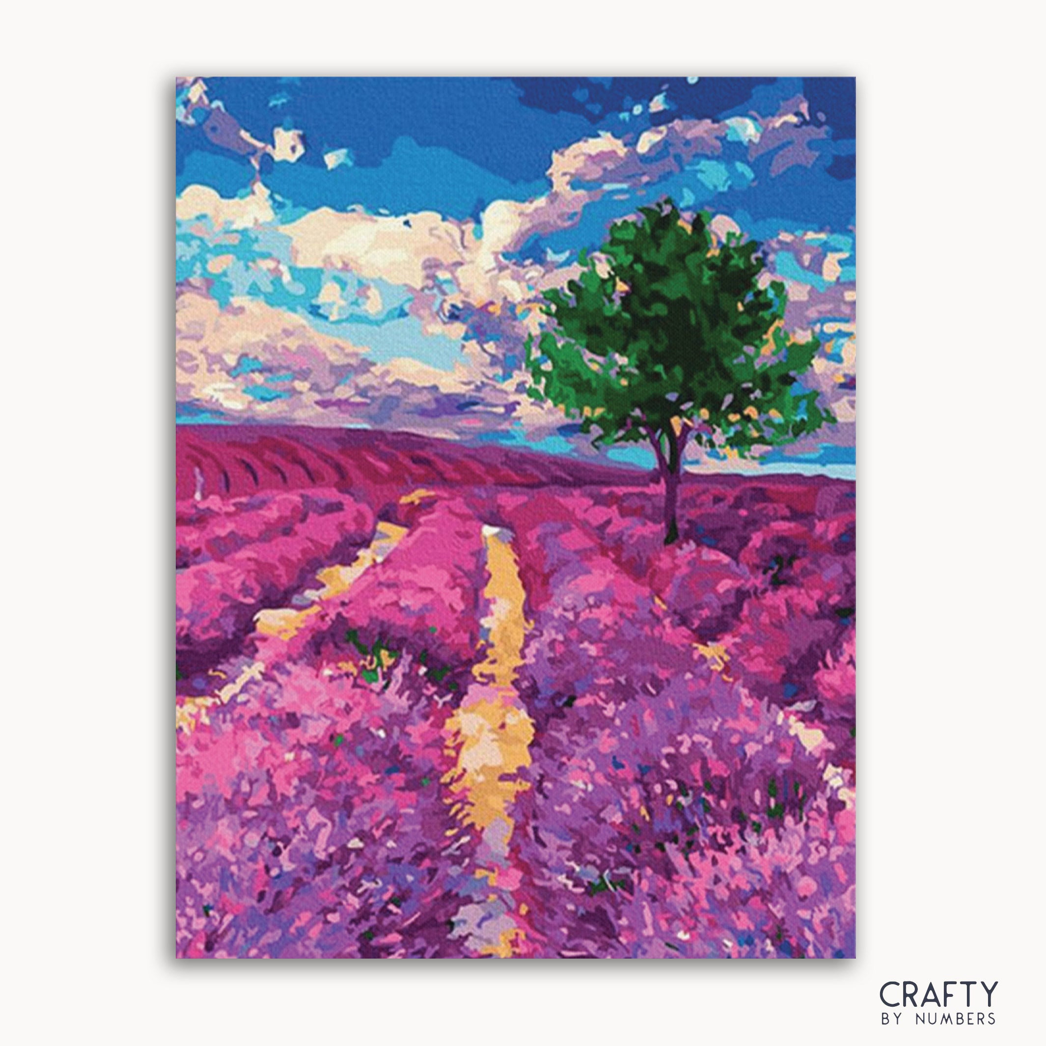 Lavender fields of Provence