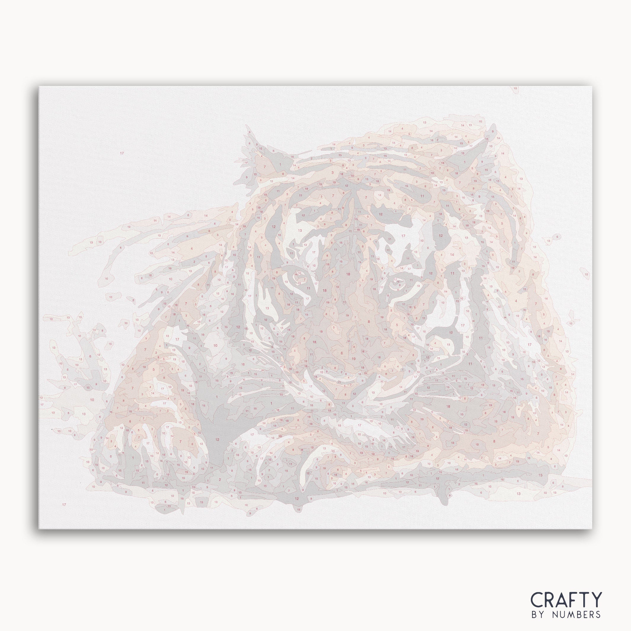 Amur Tiger