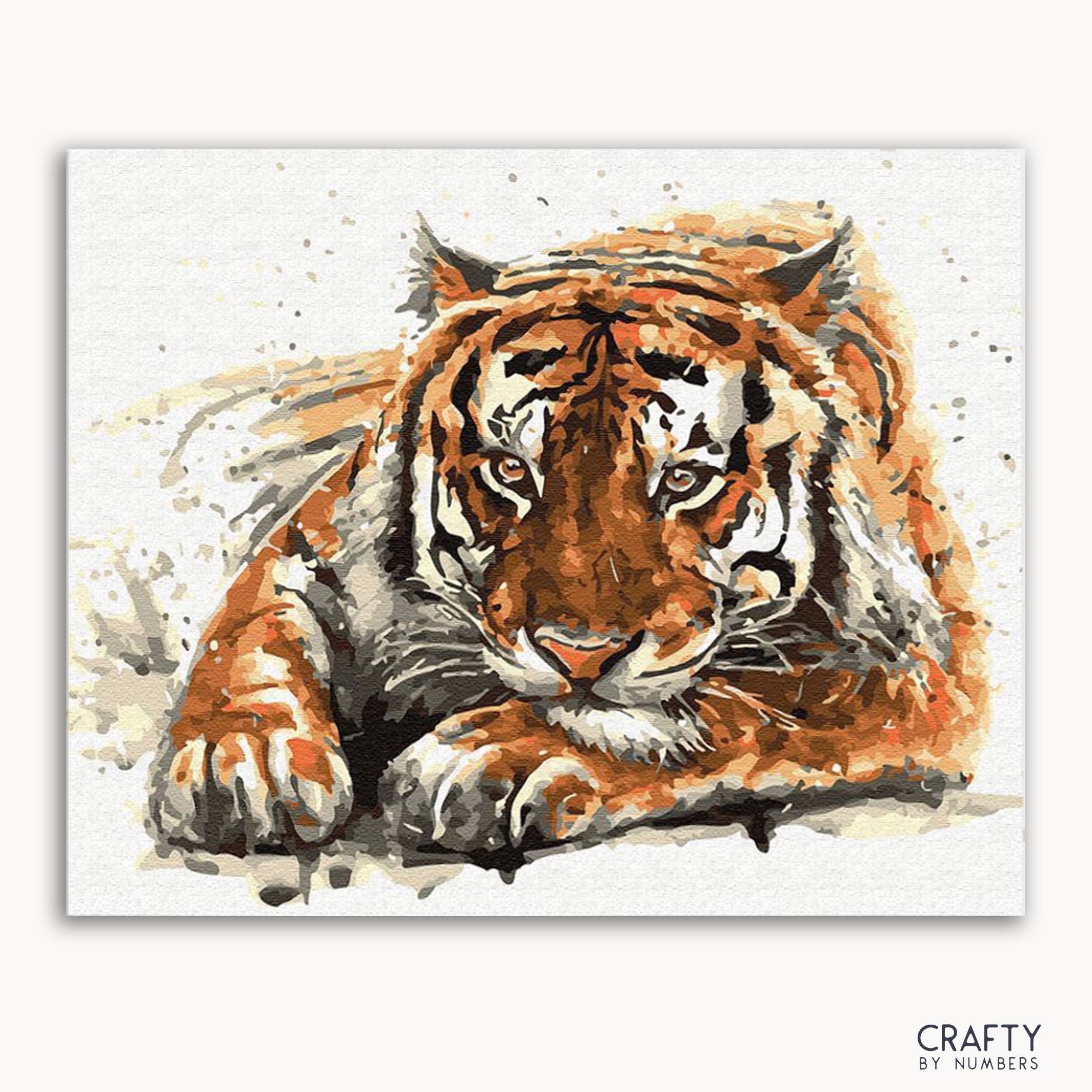 Amur Tiger