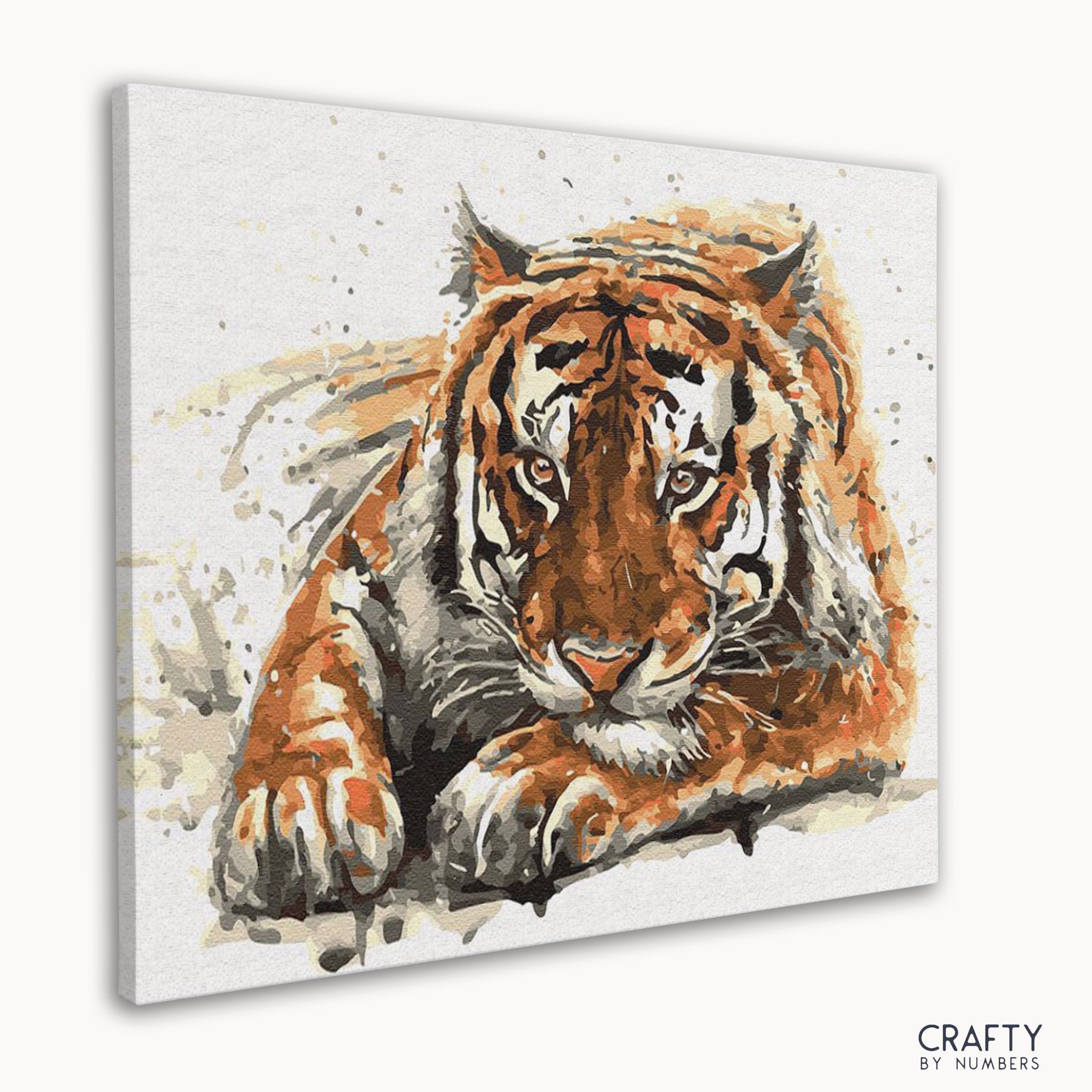 Amur Tiger