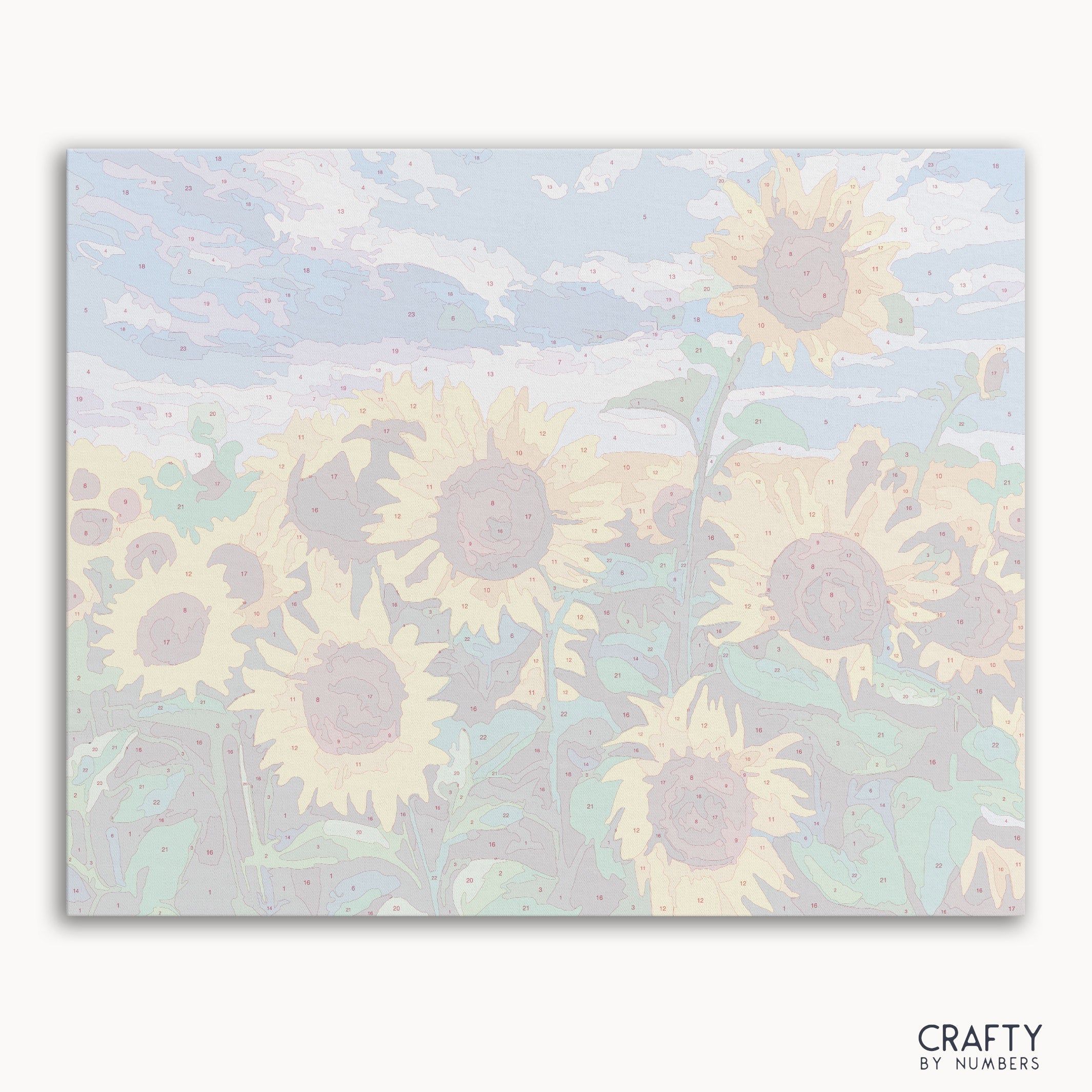 Sunflower field